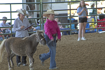 Picture from Catoosa County Saddle Club show