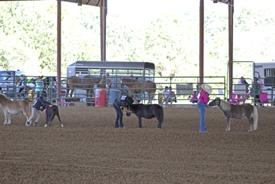 Picture from Catoosa County Saddle Club show