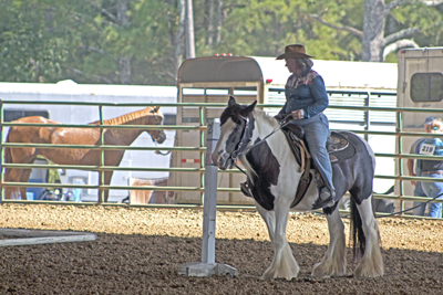 Picture from Catoosa County Saddle Club show