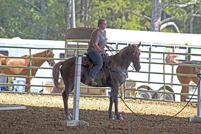 Picture from Catoosa County Saddle Club show