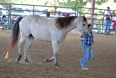 Picture from Catoosa County Saddle Club show
