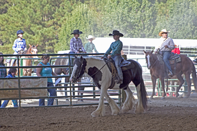 Picture from Catoosa County Saddle Club show