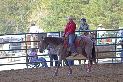 Picture from Catoosa County Saddle Club show