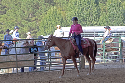 Picture from Catoosa County Saddle Club show