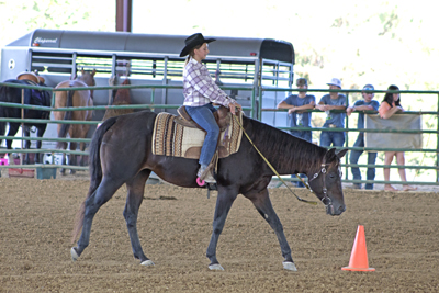 Picture from Catoosa County Saddle Club show