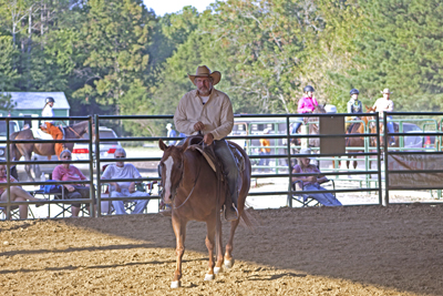 Picture from Catoosa County Saddle Club show