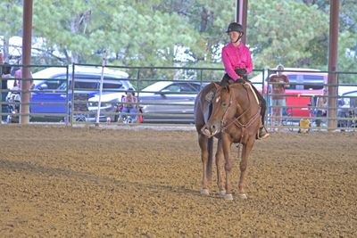 Picture from Catoosa County Saddle Club show