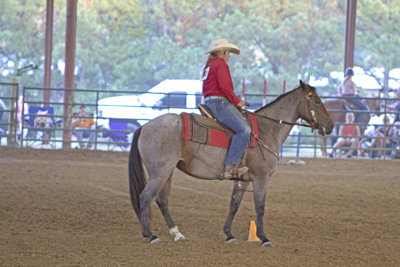 Picture from Catoosa County Saddle Club show