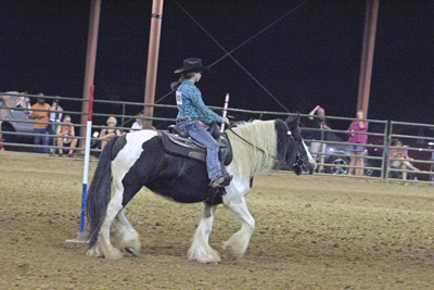 Picture from Catoosa County Saddle Club show