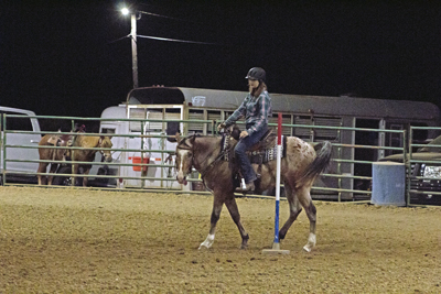Picture from Catoosa County Saddle Club show