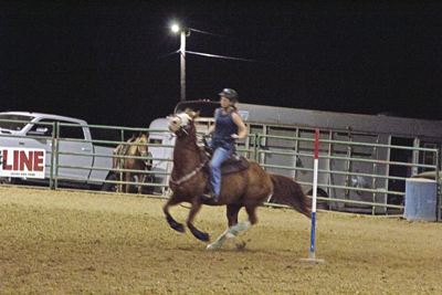 Picture from Catoosa County Saddle Club show