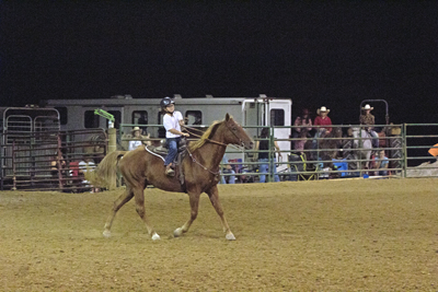 Picture from Catoosa County Saddle Club show
