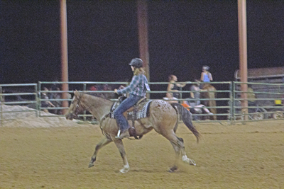 Picture from Catoosa County Saddle Club show