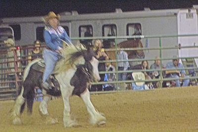Picture from Catoosa County Saddle Club show