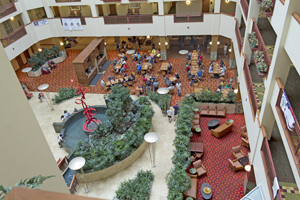 Picture from DNBBGCM 2015