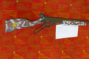 Picture from DNBBGCM 2015