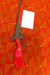 Picture from DNBBGCM 2015