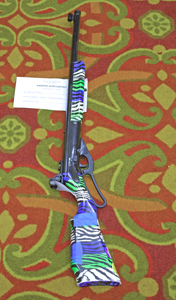 Picture from DNBBGCM 2018