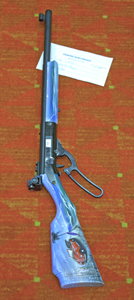 Picture from DNBBGCM 2018