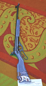 Picture from DNBBGCM 2018