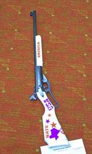 Picture from DNBBGCM 2018