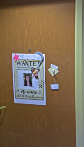 Picture from DNBBGCM 2018