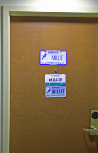 Picture from DNBBGCM 2018