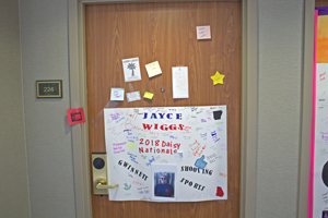 Picture from DNBBGCM 2018