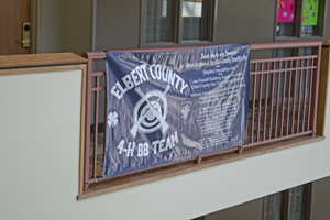 Picture from DNBBGCM 2018