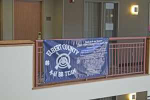 Picture from DNBBGCM 2018