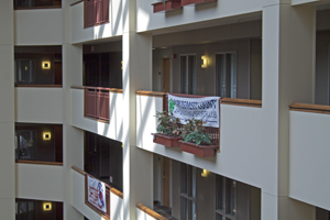 Picture from DNBBGCM 2018