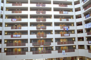 Picture from DNBBGCM 2018