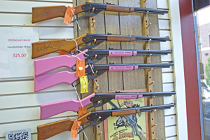 Picture from DNBBGCM 2018