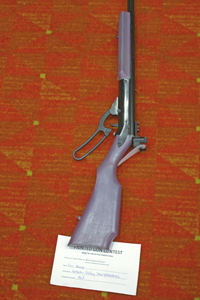 Picture from DNBBGCM 2019