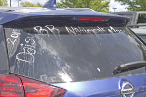 Picture from DNBBGCM 2019