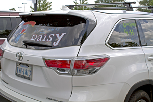 Picture from DNBBGCM 2019