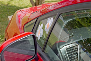 Picture from DNBBGCM 2019