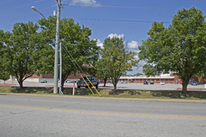 Picture from DNBBGCM 2019