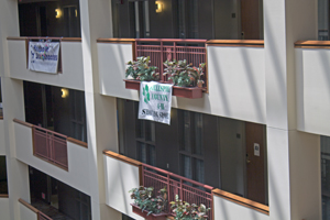 Picture from DNBBGCM 2019