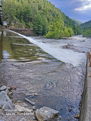 Picture from DNBBGCM 2024