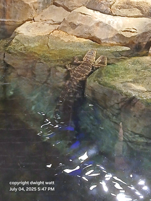 Picture from DNBBGCM 2025