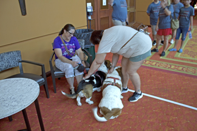 Picture from DNBBGCM 2025