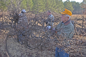 Triming grape vines for grapes for the Nursing Home residents