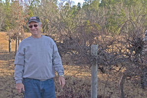Triming grape vines for grapes for the Nursing Home residents