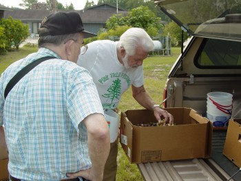 Picking grapes for the Nursing Home residents