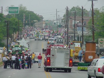Pine Tree Festival