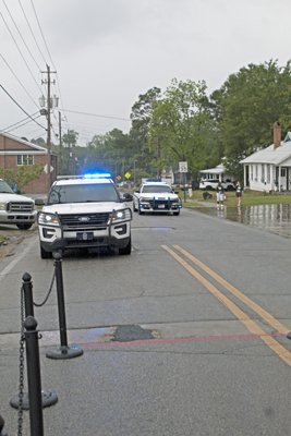 Picture from Knotty Pine 2024