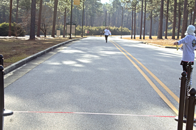 Picture from Resolution Run 2024