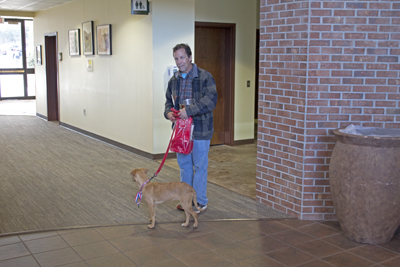 Picture from Resolution Run 2024